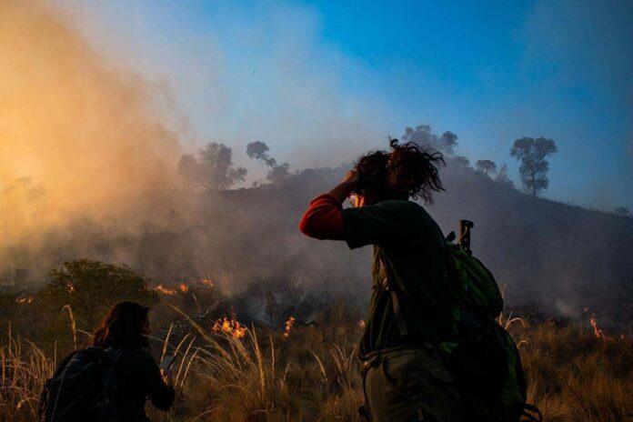 incendios para publicar