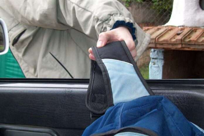 robo-mochila-auto web