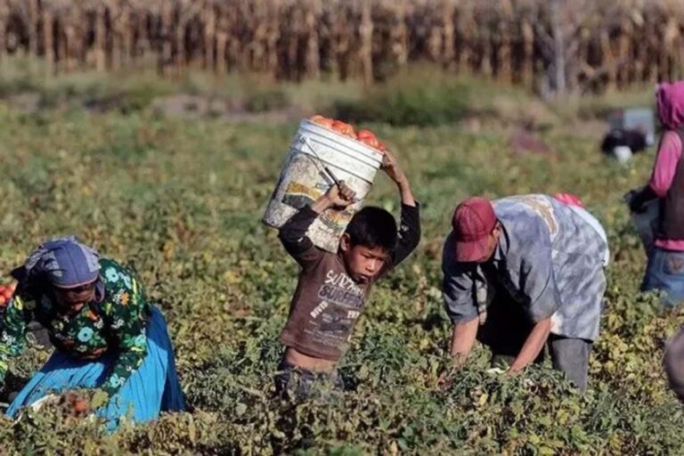 Día Mundial contra el Trabajo Infantil: uno de cada diez niños o niñas trabajan