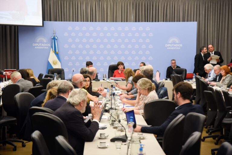 Financiamiento Educativo: El oficialismo en Diputados logró bajarlo al recinto