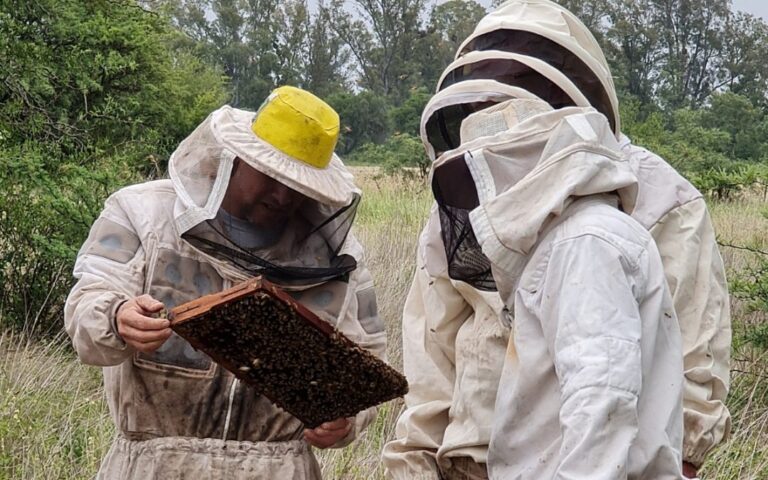 Para que estudiantes conozcan las lógicas de la apicultura, funcionará en la UNVM la primera Unidad Demostrativa Apícola de la zona