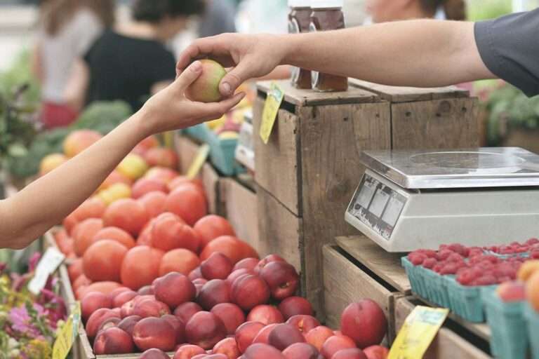 Posgrado: “Especialización en Diseño y Gestión de Proyectos de la Economía Popular”