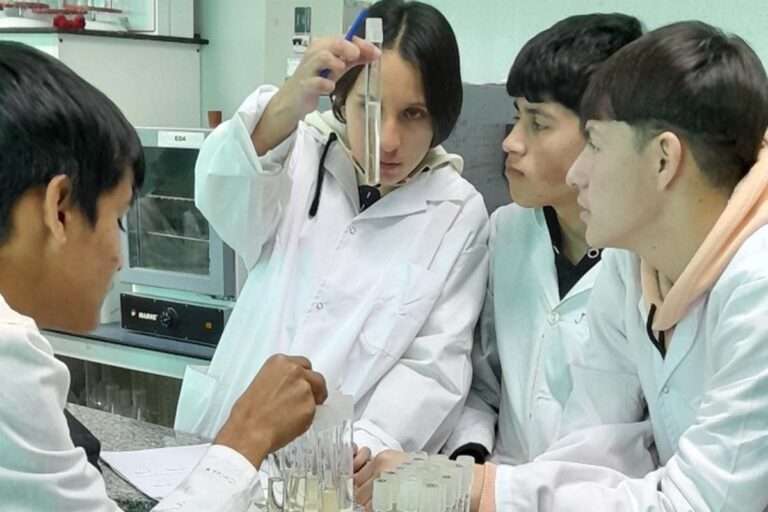 Feria de Ciencias: 28 de agosto, Instancia Escolar