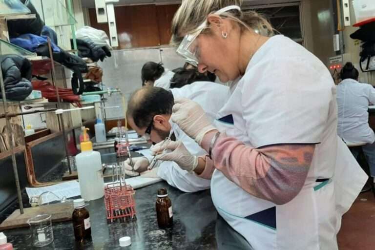 Consulta Provincial sobre Formación Profesional y Capacitación Laboral