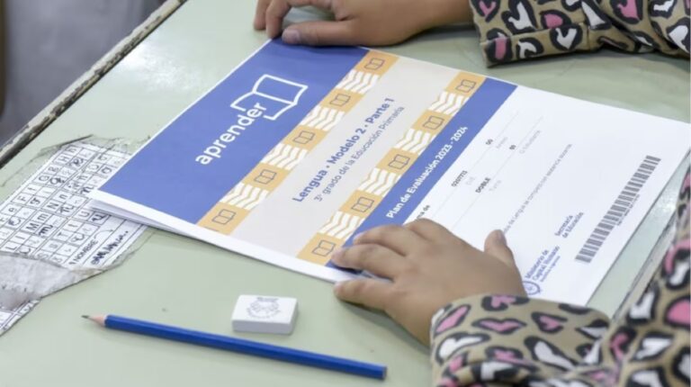 Aprender 2024: el 10% de alumnos de 3° grado se inician en la lectura de textos simples