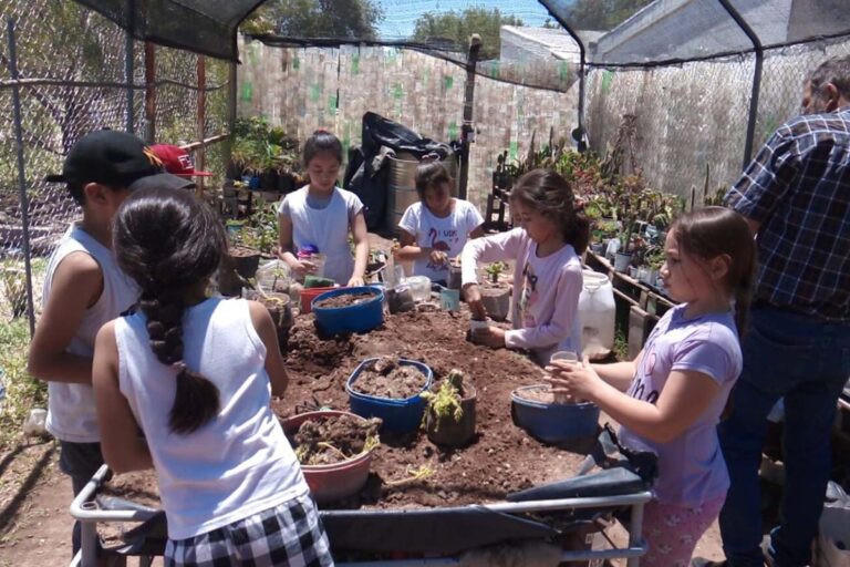 Concurso Escuelas (secundarias) Sustentables: Lanzan segunda edición