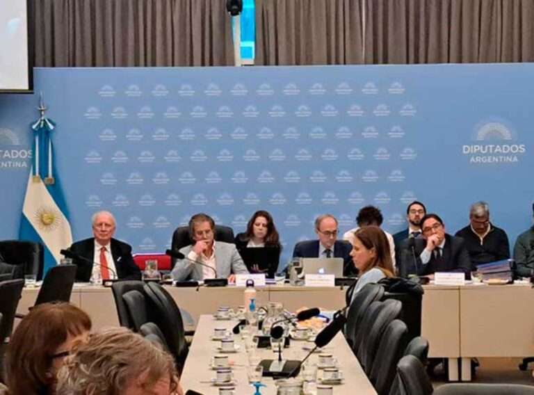 Presupuesto: Universidades presentaron amparo y, en Diputados, Torrendell y Alvarez ratificaron que no aplicaran la Ley de Financiamiento