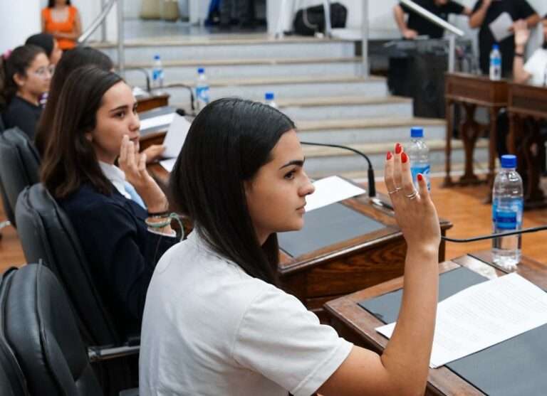 Concejo Deliberante Estudiantil: celebró su última sesión del año