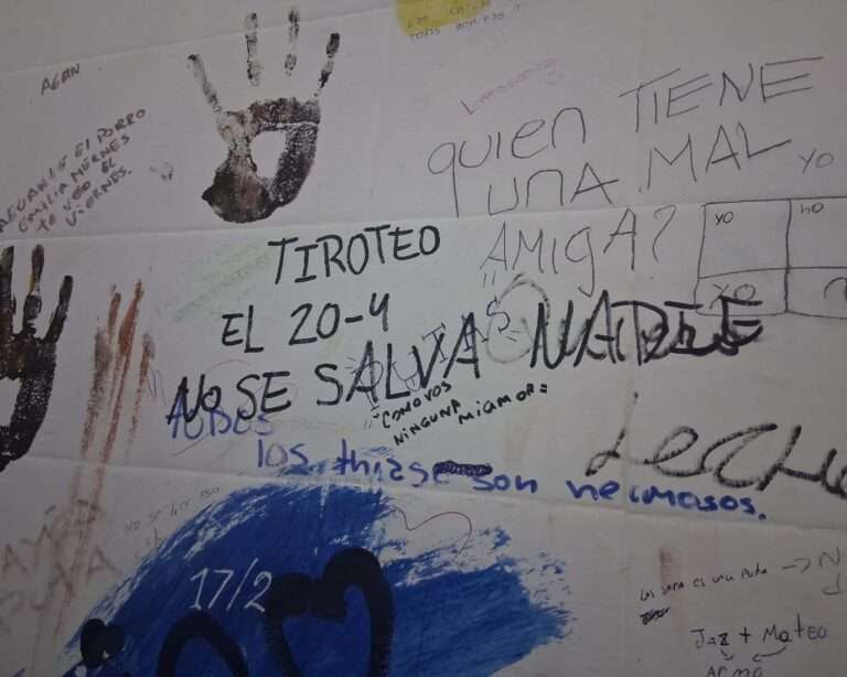 Desafío en Tik Tok: estudiante de 14 años es la responsable del grafiti en el MAO y se prevé una dura sanción