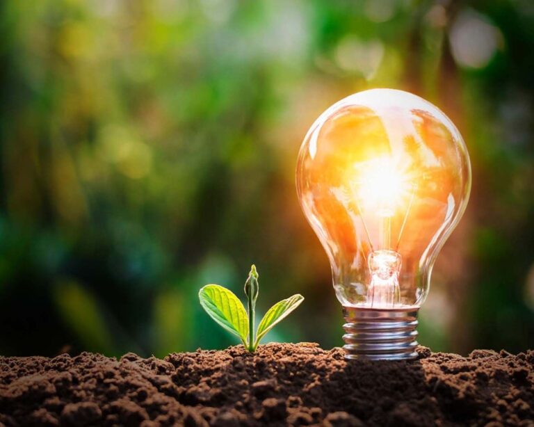Formación docente: La energía eléctrica desde la perspectiva de la Educación Ambiental Integral