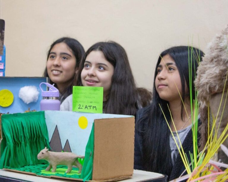 Feria de Ciencias: Se expondrán más de 20.000 proyectos, con fecha central el 30 de junio