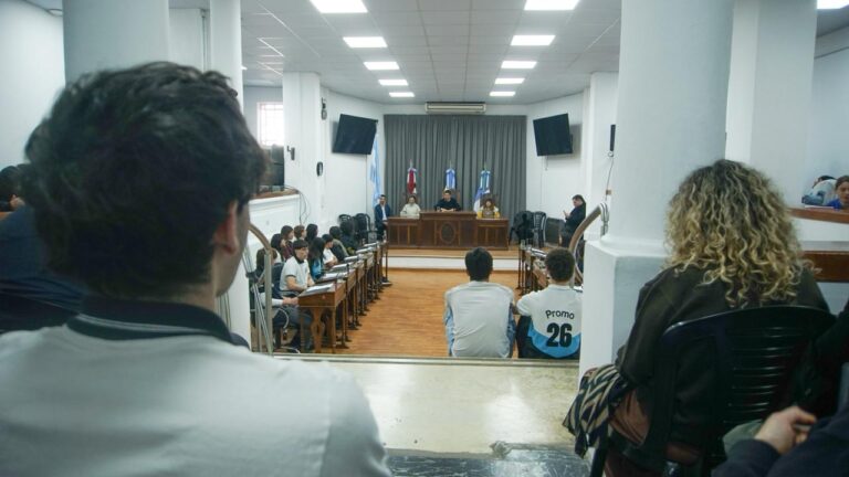 Concejo Deliberante Estudiantil: Cuatro comisiones y una agenda de trabajo
