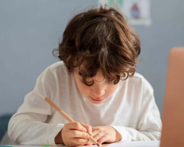 El Gobierno Nacional insistirá con el proyecto de la “educación en casa”