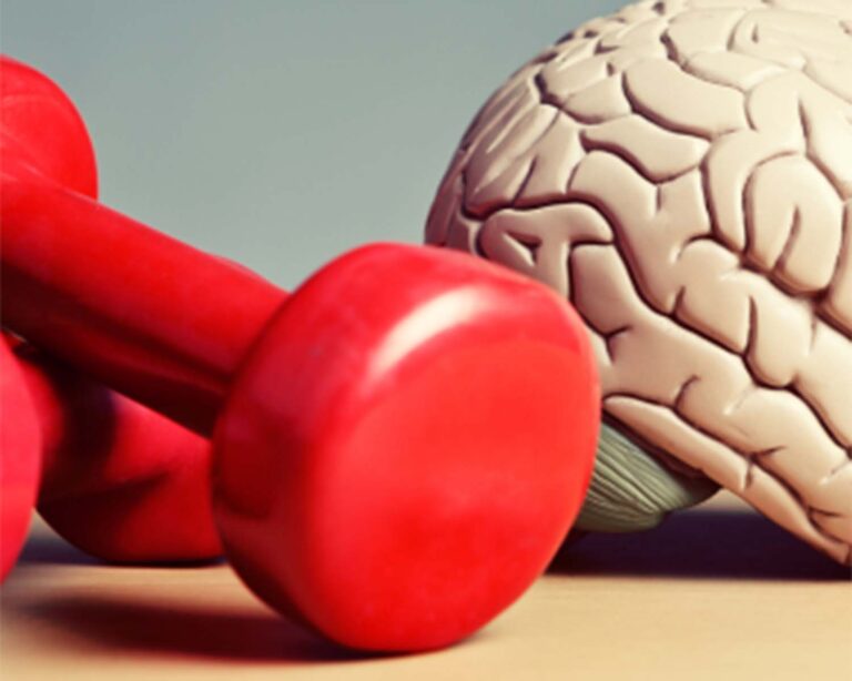 Inclusión y Derechos: Salud, Educación y Deportes